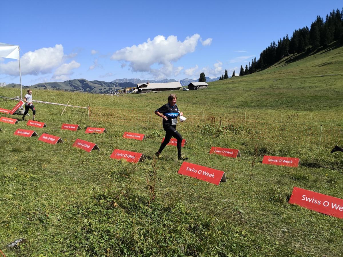 IMG 20190808 110206 resized 20190808 062624989