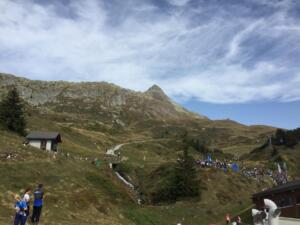 IMG 0843