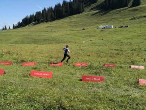 IMG 20190808 105220 resized 20190808 062624297