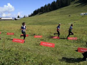 IMG 20190808 105338 resized 20190808 062625806