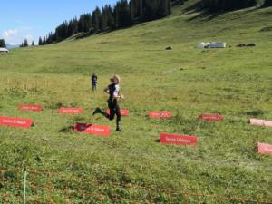 IMG 20190808 105729 resized 20190808 062625410