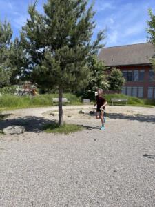 IMG 2074