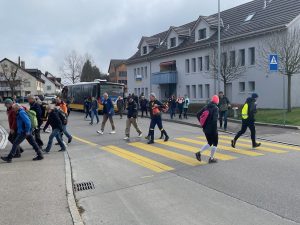 IMG 8555